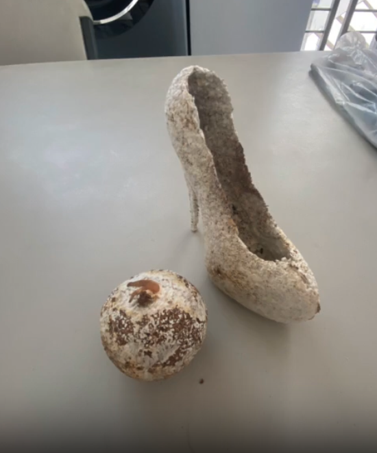 Mycelium Casting using ‘Back to the Roots’ oyster mushroom kit