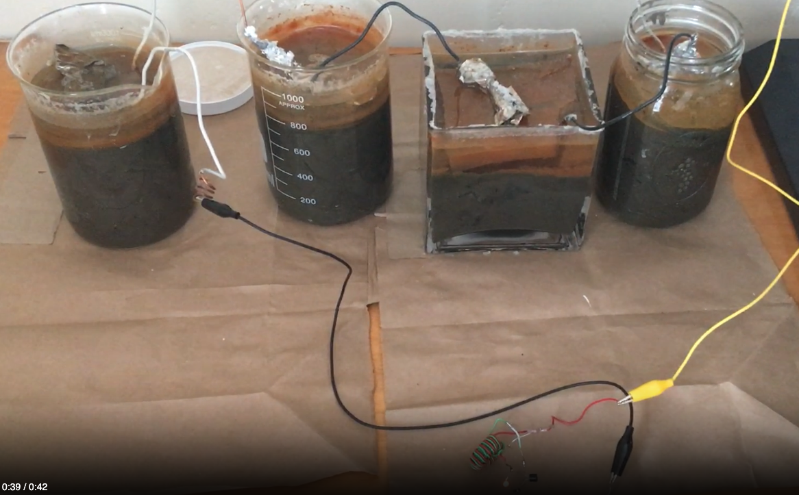 Microbial Fuel Cell Video by Oliver